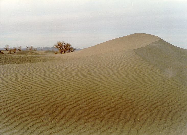 20031052251041423.jpg