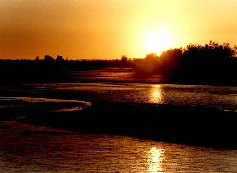 2003105227945205.jpg