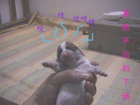 2003112923351316171.jpg