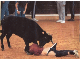 200311323523740379.gif
