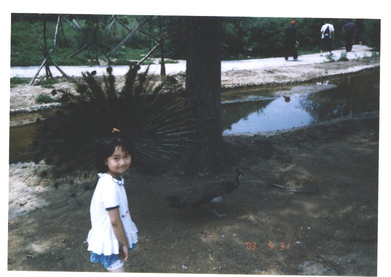200311422281390230.jpg