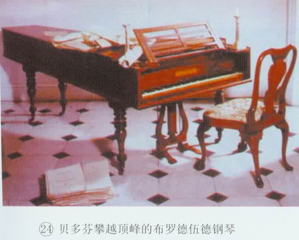 200311523183935141.jpg