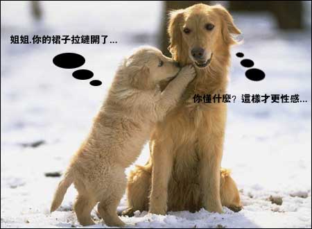 200312022305735665.jpg