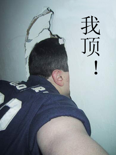 20031226914575741.jpg