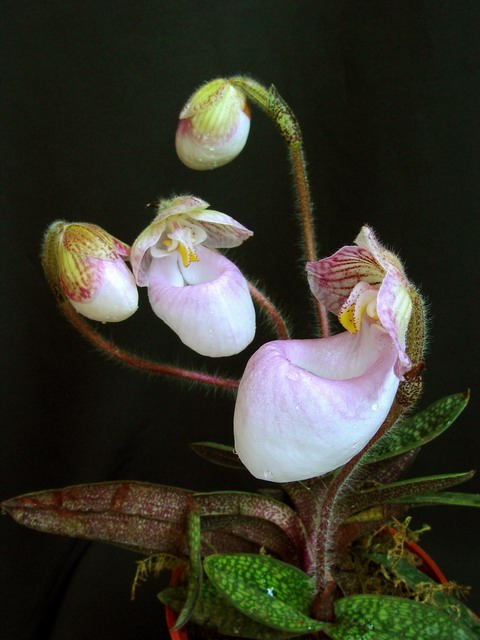 20032207381514598.jpg