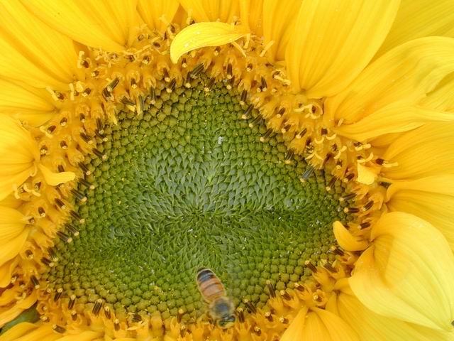 20032207421457492.jpg