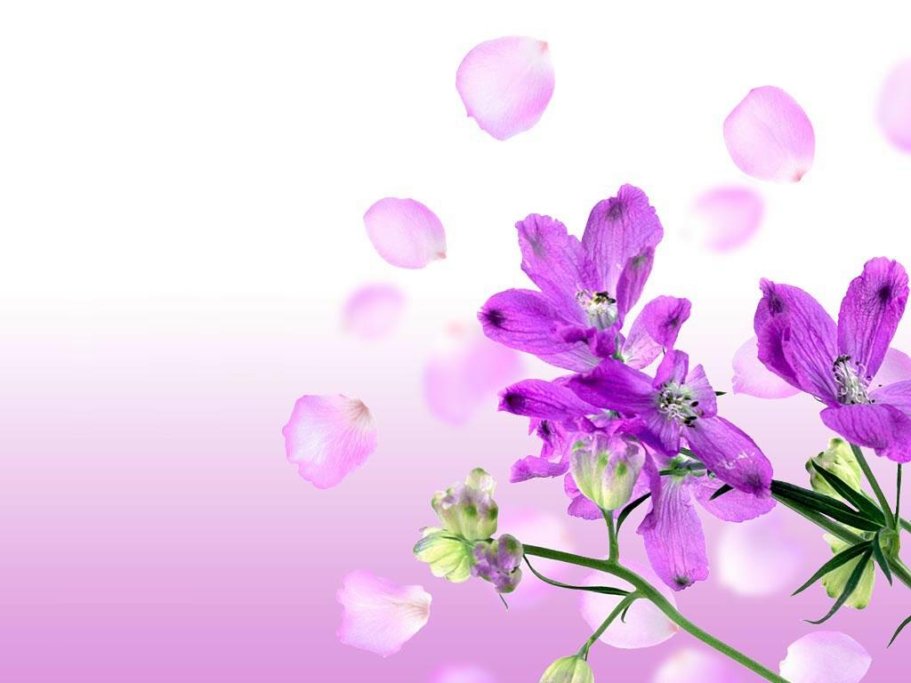 200322121353459050.jpg