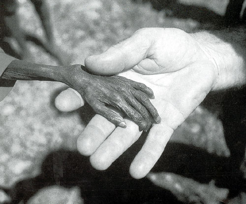 200322721056477020.jpg