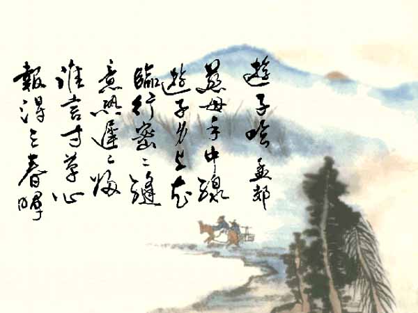 200331916533229912.jpg