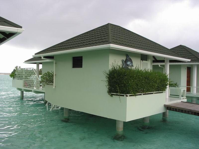 20034162142968473.jpg