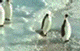 20035146372556780.gif