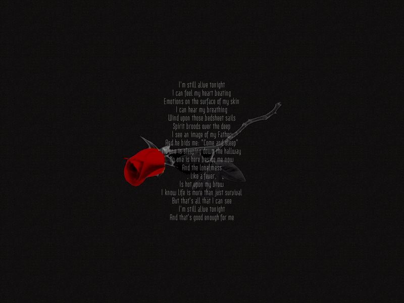 200352718503160359.jpg