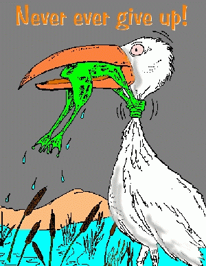 20035911165457264.gif