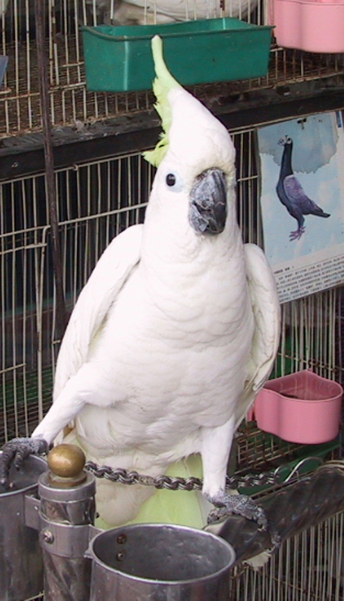 200362220312387723.jpg