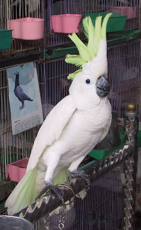 200362220314012247.jpg