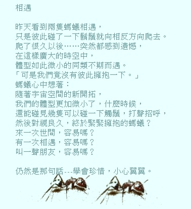 20037517192689340.jpg