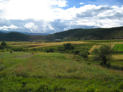 2003950404815334.jpg