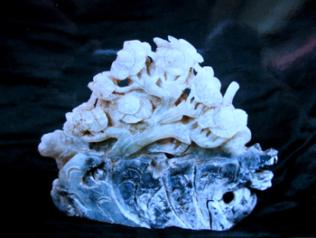 20041121642689706.jpg