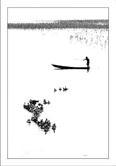 200411415255648045.jpg