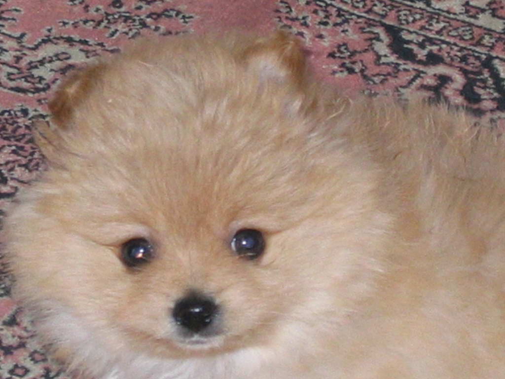 2004121212141921001.jpg