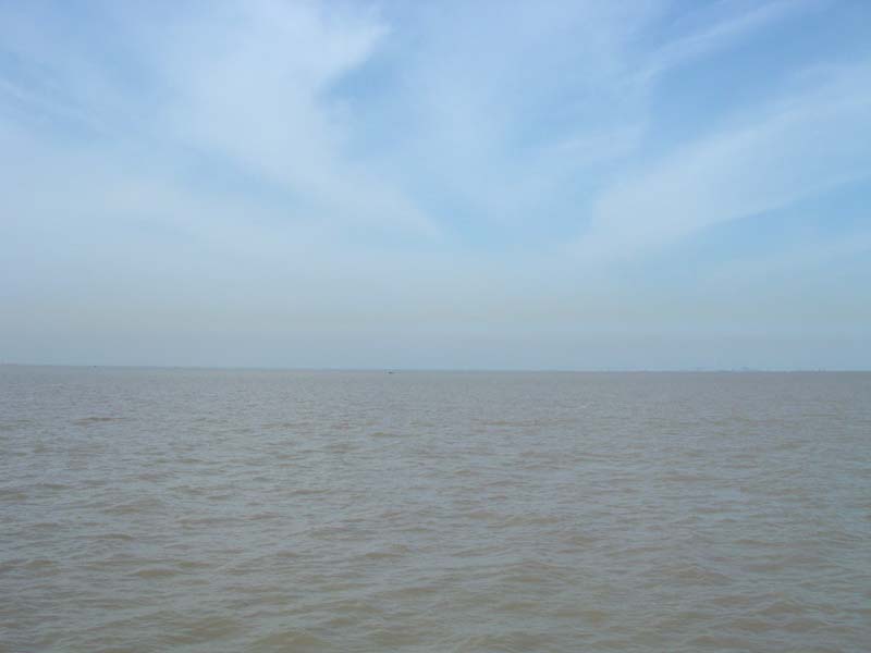 20045251221067947.jpg