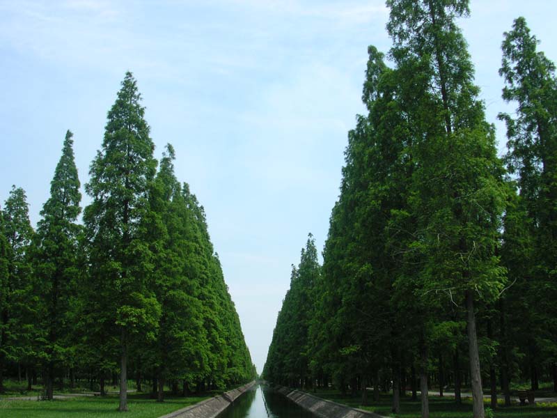 200452512233412033.jpg
