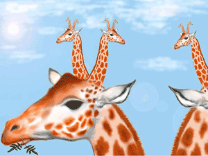 200452721525756977.gif