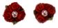 2004636162726565.gif
