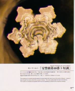 20046820354392373.jpg
