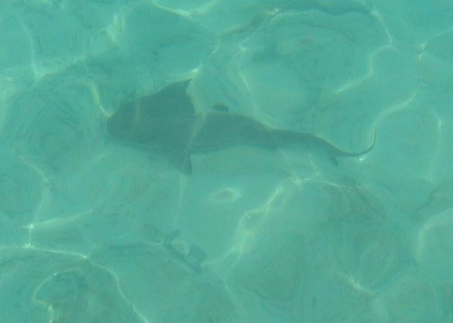 20047180235858081.jpg