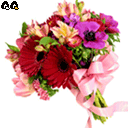 20048291681437807.gif