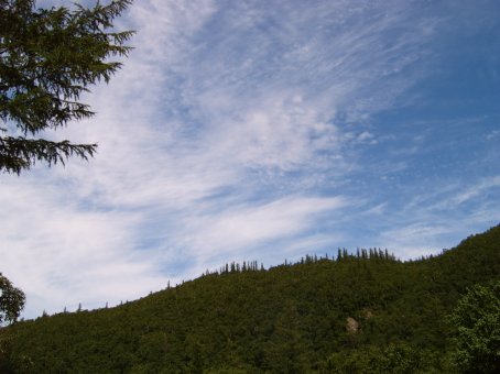 2005-8/20058281505648502.jpg