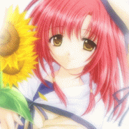 2005-8/2005861542376760.gif