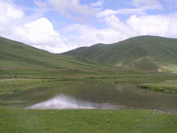 2005-8/20058920523921116.jpg