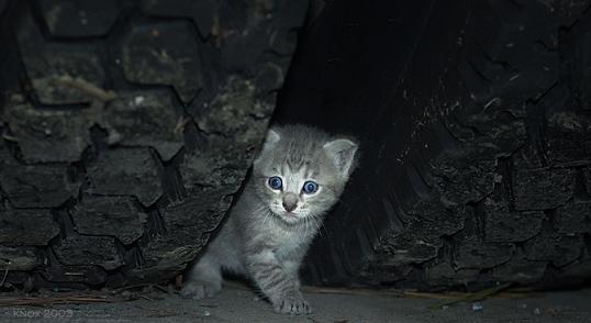 200511110555791913.jpg