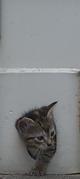 200511110564928500.jpg