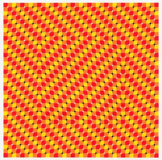200511821481747438.jpg
