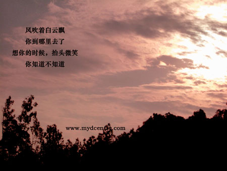 200511915215534519.jpg