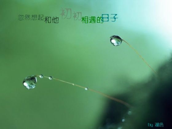 200512322414146545.jpg