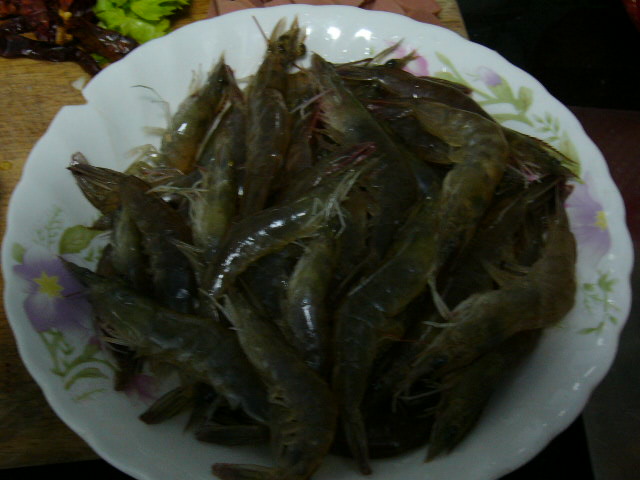 20051920211066546.jpg