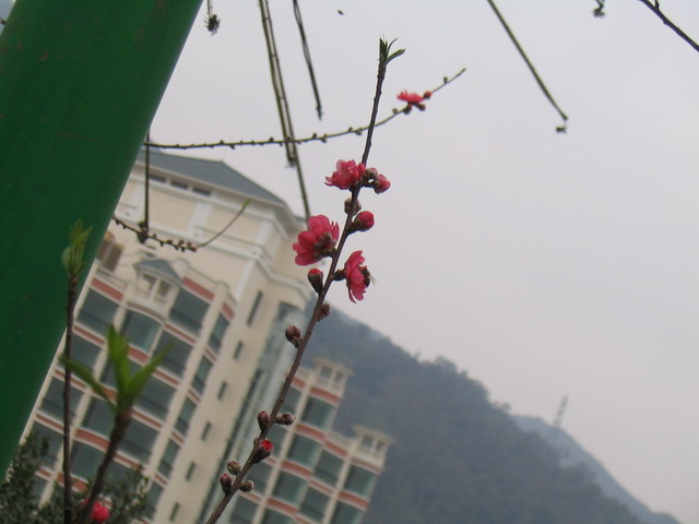 200521423591468659.jpg