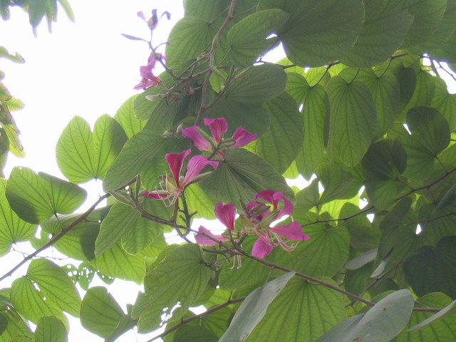 200521423593336697.jpg