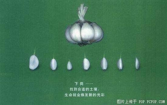 20052215123115009.jpg