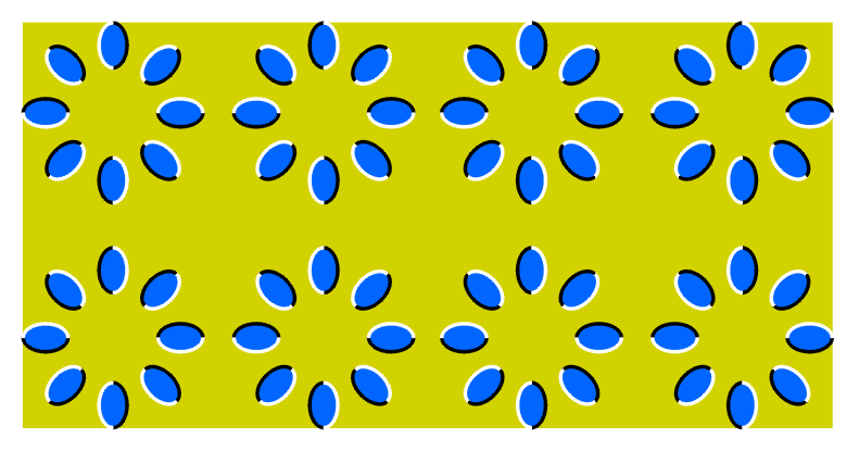 200522316323355454.gif