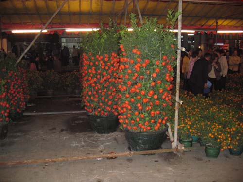 2005262144096051.jpg