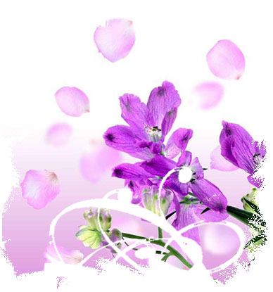 2005292463423659.jpg
