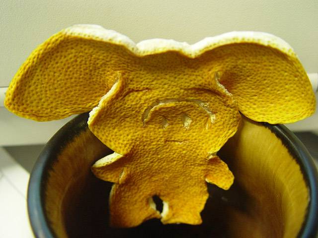 20053112056264494.jpg