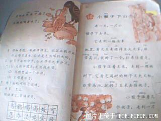 200532222454340284.jpg