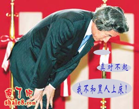 20054230515117265.jpg