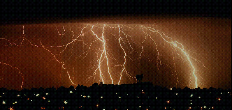 20054251832946989.gif